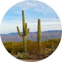 Scottsdale, AZ