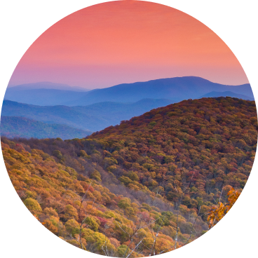 Pigeon Forge, TN